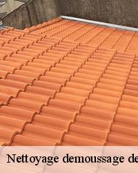 Assurer la bonne etancheite toit terrasse dans le 85