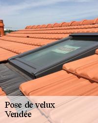 Réparation de velux dans le 85