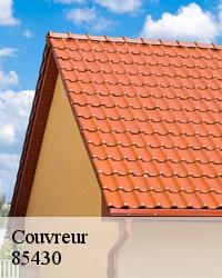 Intervention de notre couvreur reparation de toiture à La Boissiere Des Landes