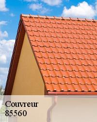 Equipe de couvreur zingueur toujours en service sur Longeville Sur Mer