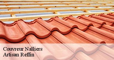 Service de couvreur renovation toiture à Nalliers