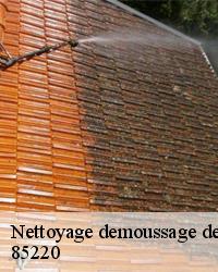 Service pour nettoyage demoussage de toiture dans le 85220