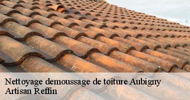 Equipe de couvreur nettoyage et demoussage de toiture à Aubigny