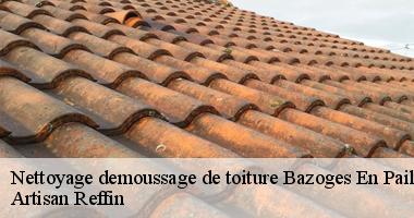 Equipe de couvreur nettoyage et demoussage de toiture à Bazoges En Paillers