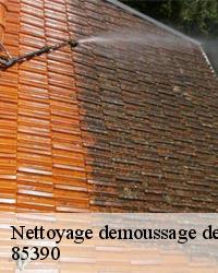 Travaux de nettoyage demoussage de toiture à Bazoges En Pareds