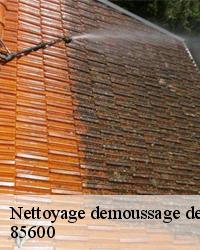 Notre entreprise de nettoyage et demoussage de toiture à Bouffere