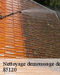 Faire du démoussage toiture à Breuil Barret par des professionnels