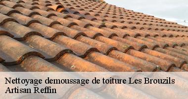 Travaux de nettoyage demoussage de toiture à Les Brouzils