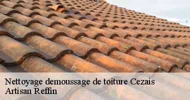 Le démoussage de toit à Cezais de notre société couvreur