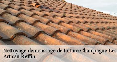 Equipe de couvreur nettoyage et demoussage de toiture à Champagne Les Marais