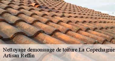 Le Devis nettoyage et demoussage de toiture à La Copechagniere