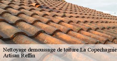 Du nettoyage toiture à La Copechagniere par nos couvreurs