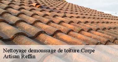 Le démoussage de toit avec des couvreurs spécialisés de Artisan Reffin
