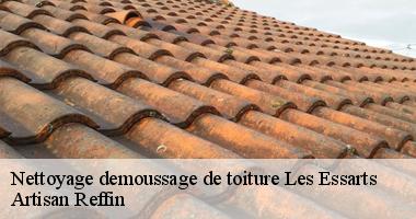 Travaux de nettoyage demoussage de toiture à Les Essarts