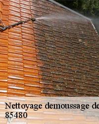 Le Devis nettoyage et demoussage de toiture à Fougere