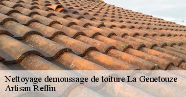 Artisan Reffin : Nous pouvons vous fournir un travail de démoussage de toiture impeccable