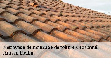 Equipe de couvreur nettoyage et demoussage de toiture à Grosbreuil