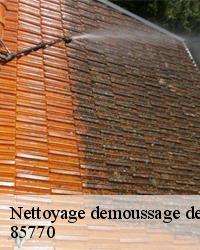 Le Devis nettoyage et demoussage de toiture à Le Gue De Velluire