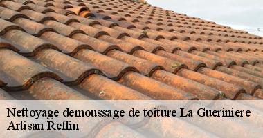 Du nettoyage toiture à La Gueriniere par nos couvreurs