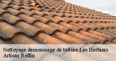 Le démoussage de toit avec des couvreurs spécialisés de Artisan Reffin