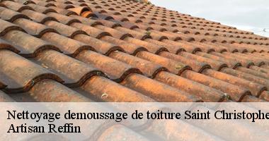 Le démoussage de toit avec des couvreurs spécialisés de Artisan Reffin