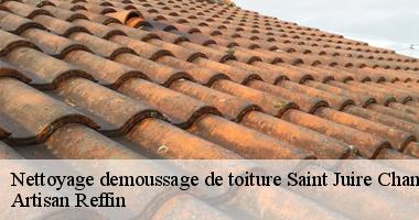 Travaux de nettoyage demoussage de toiture à Saint Juire Champgillon