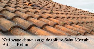 Le démoussage de toit à Saint Mesmin de notre société couvreur