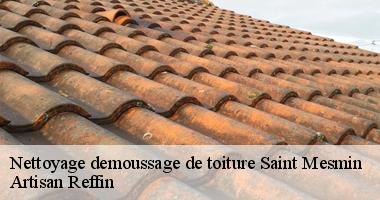 Pour un traitement de toiture à Saint Mesmin, contactez-nous