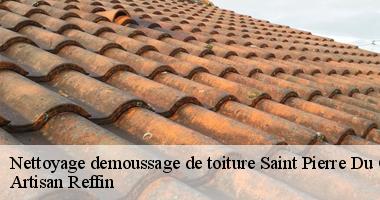 Service pour nettoyage demoussage de toiture dans le 85120