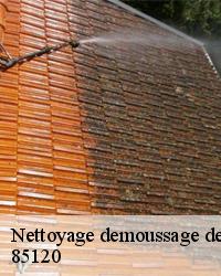 Du nettoyage toiture à Saint Pierre Du Chemin par nos couvreurs