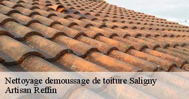 Travaux de nettoyage demoussage de toiture à Saligny