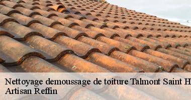 Equipe de couvreur nettoyage et demoussage de toiture à Talmont Saint Hilaire