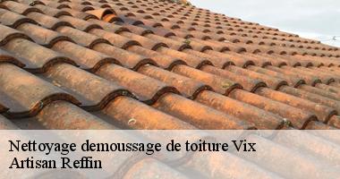 Travaux de nettoyage demoussage de toiture à Vix