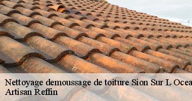 Travaux de nettoyage demoussage de toiture à Sion Sur L Ocean