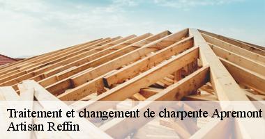 Le prix pour le changement ou le traitement de charpente à Apremont