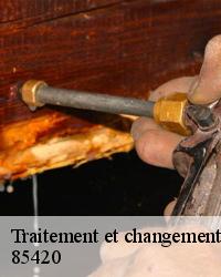 Service pour Traitement et changement de charpente à Bouille Courdault