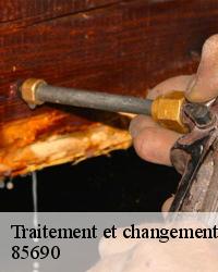 Le changement de charpente à Notre Dame De Monts de notre entreprise