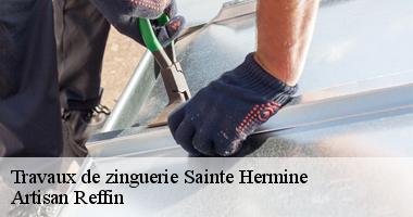 Assurer la zinguerie couverture par des spécialistes en Sainte Hermine