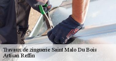 Intervention de notre artisan zingueur en Saint Malo Du Bois