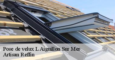 Réparation et remplacement de velux avec Artisan Reffin