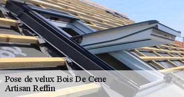 Faites installer vos fenêtres de toit par un professionnel