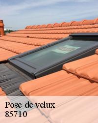 Pose de velux à Bois De Cene