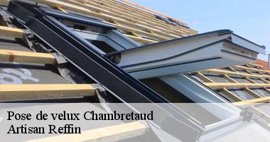 Prix changement de velux 