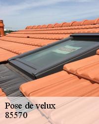 Réparation de velux à L Hermenault