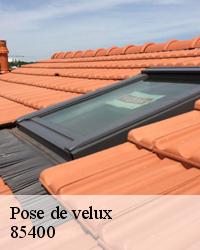 Entreprise pose de velux dans 85400