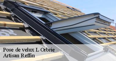 Réparation et remplacement de velux avec Artisan Reffin