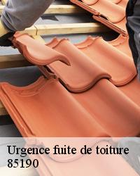 Urgence fuite toiture à Aizenay avec Artisan Reffin