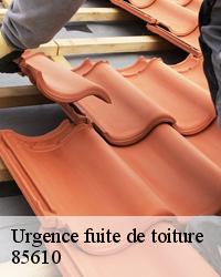 Urgence infiltration toiture