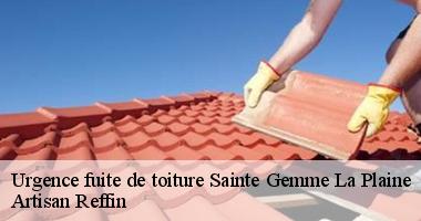 Dépannage toiture à Sainte Gemme La Plaine