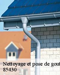 Changement de gouttière à Aubigny